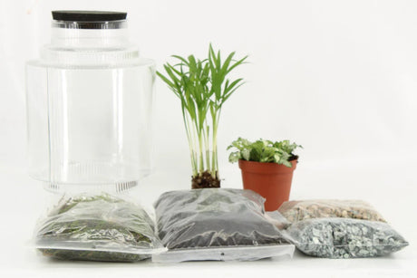 Waarom Plantenterrarium?