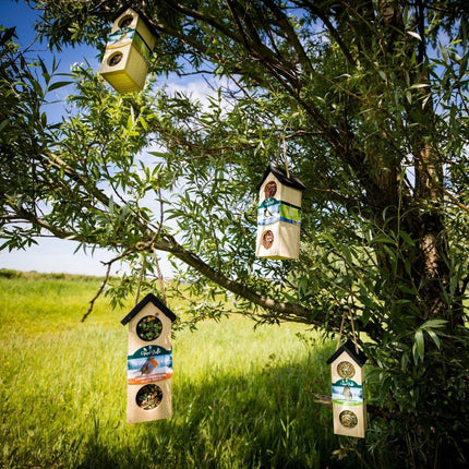 Bird-Buffet | Chalet feeder vogelhuisje voor Boomklevers