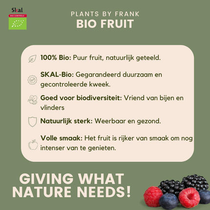 "Zomervruchten" BIO Fruitplanten mix set van 4 verschillende soorten - Fruitstruik