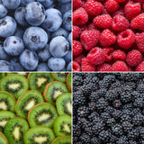 "Zomervruchten" BIO Fruitplanten mix set van 4 verschillende soorten - Fruitstruik