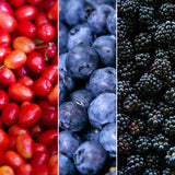 "Vruchten feestje" BIO Fruitplanten mix set van 3 verschillende soorten - Fruitstruik