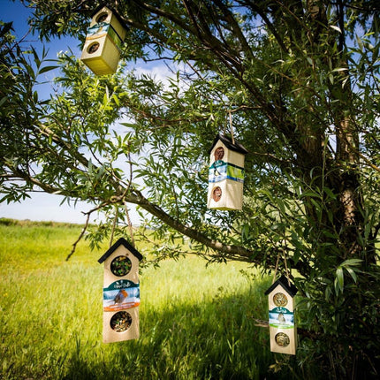 Bird-Buffet | Chalet feeder vogelhuisje voor Meesjes