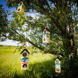 Bird-Buffet | Chalet feeder vogelhuisje voor Meesjes