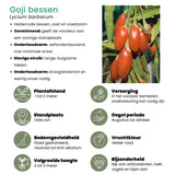 "Vruchten feestje" BIO Fruitplanten mix set van 3 verschillende soorten - Fruitstruik