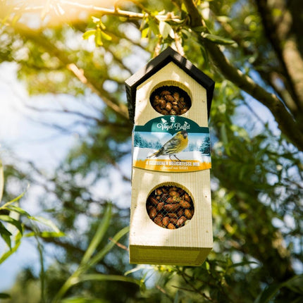 Bird-Buffet | Chalet feeder vogelhuisje voor Boomklevers